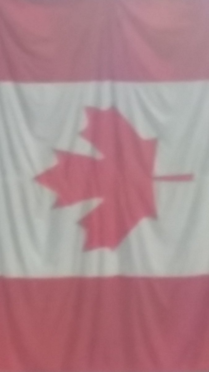 ayden_fox's tweet photo. #canada https://t.co/VtgfBrg94S