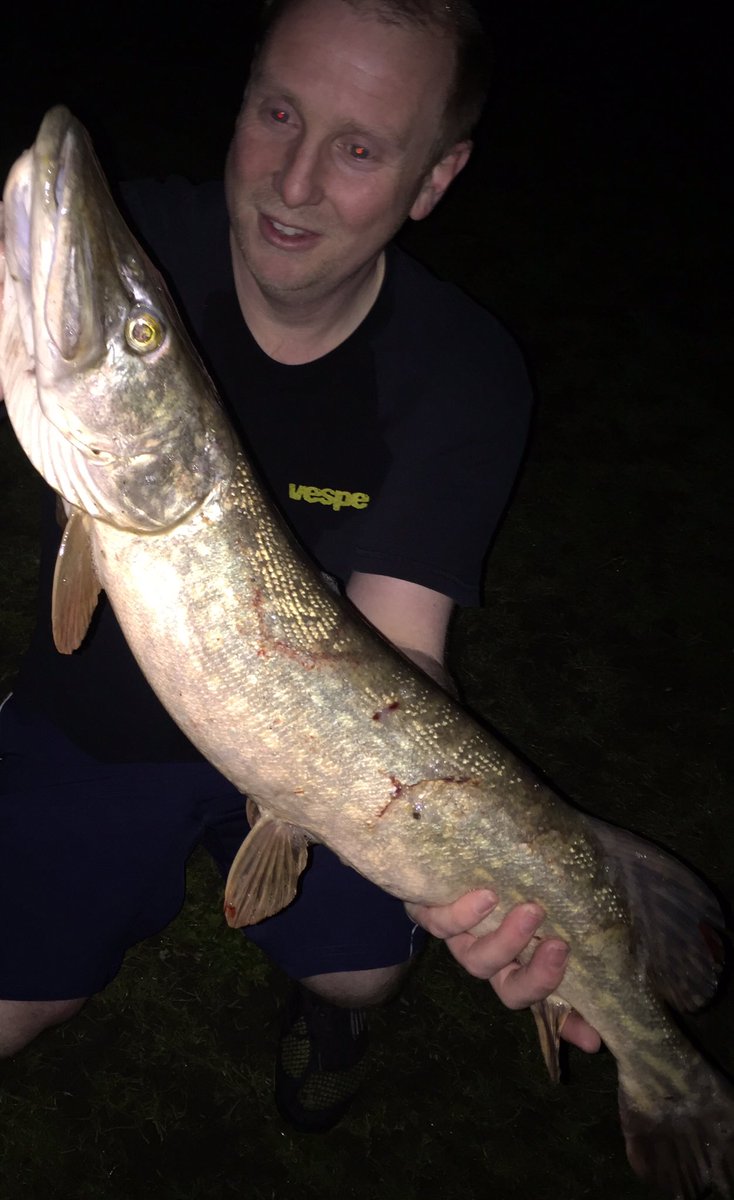 streetfishinguk's tweet photo. A quick 1 hour yesterday evening, 3 pike in the town centre, light gear made this great fun https://t.co/gpjw73ErpZ