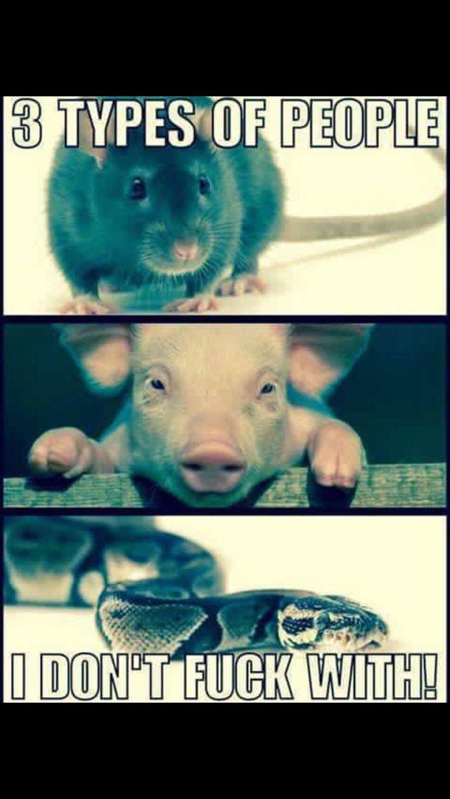 Mirr2Wavy__'s tweet image. Rt 💯 IF YOU DONT FUCK WITH THEM.