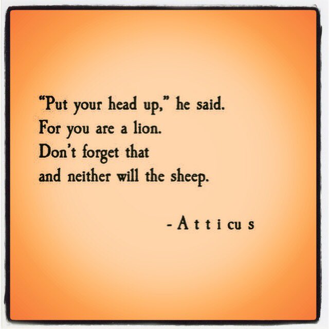 drjennmann's tweet photo. Head up!! https://t.co/1TgVvwlHCy