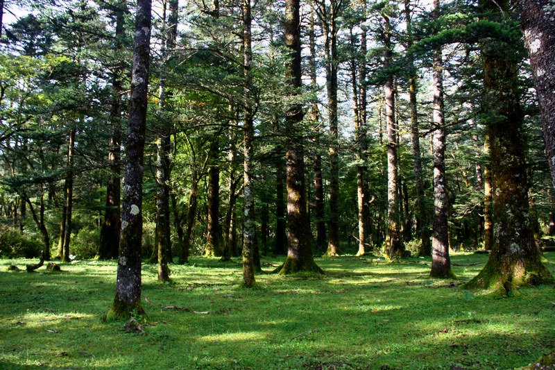 YunnanAdventure's tweet photo. 10Days Yunnan Classic Tour with Xishuangbanna Tropical Forest

https://t.co/4hKEvkMggN https://t.co/P5PzBPlSAJ