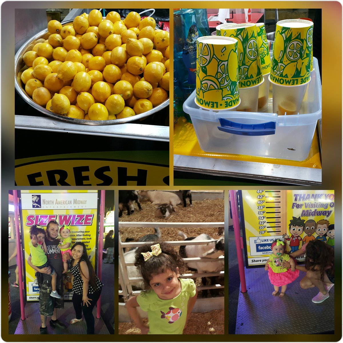 Emlys_my_name's tweet photo. The fair be there #dadecountyfair https://t.co/CRoJMM1kJO