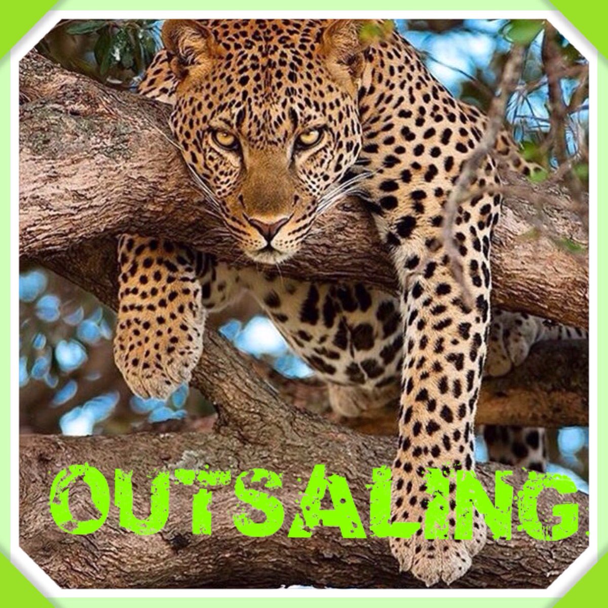 outsaling's tweet image. #empresalogisticaenpanama