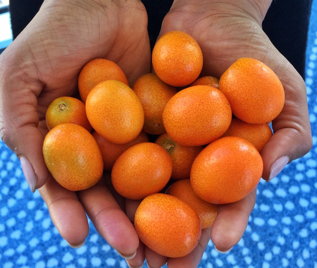 PadmaLakshmi's tweet photo. Food should be wholesome &amp; never include anything other than what #MotherNature intended. Glad #DarkAct was defeated https://t.co/IJeihqsycB