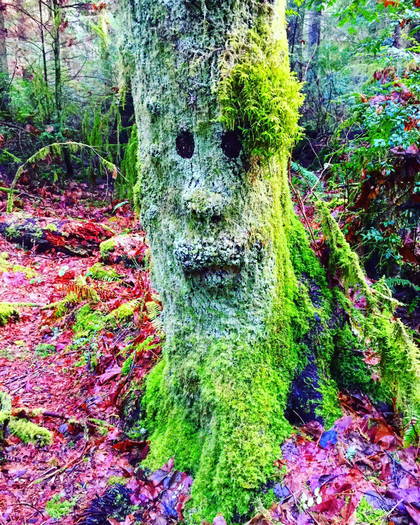 TheSeedGenie's tweet photo. No foolin! We love nature and it's magical surprises! ๐โจ๐ #FindYourPark #customseeds #nature https://t.co/uZXkNxxFNP