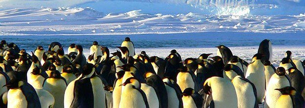 Mental Health Requires A Strong And Safe ... - goo.gl/tB54Ub #LivingWithMentalIllness #PeerSupport