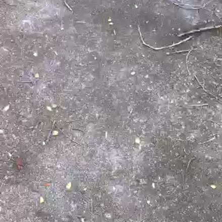 ProvinceREI's tweet photo. |REPLAY| Fire damaged property with @dewaynemurray #katch #Periscope https://t.co/fLIPRbOxgA https://t.co/XwxwhnqpjZ