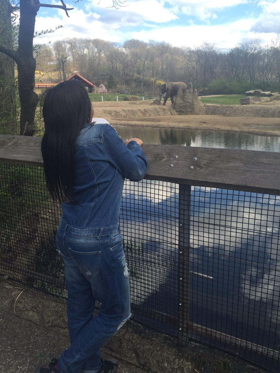 scholarproject's tweet photo. #herbivore #zooforall https://t.co/ioYjWEK0UK