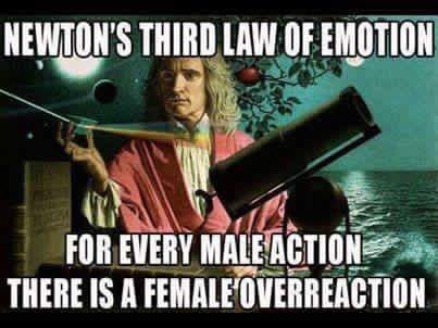 Meninist tweet media