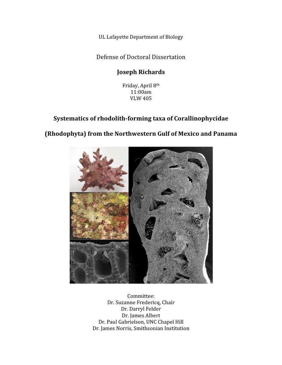 Joe Richards' Ph.D. Defense on corallines from the NW Gulf of Mexico &amp; Panama is on April 8th. Congratulations Joe!