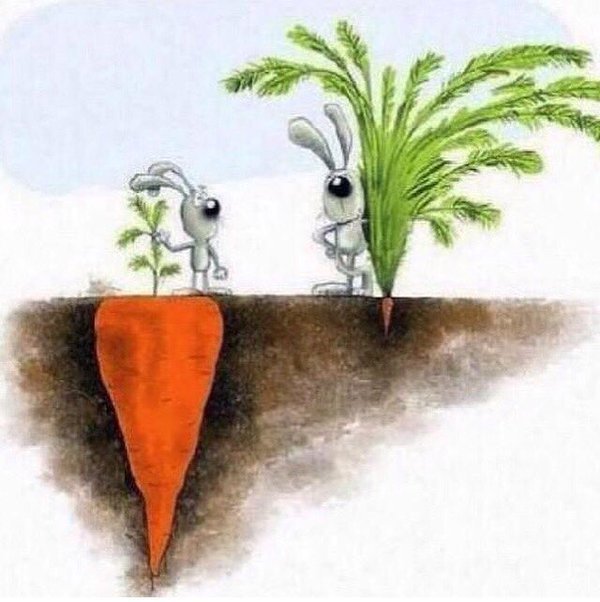 Jesuslechemin1's tweet image. Dieu ne juge pas comme les hommes. L'homme regarde à ce qui frappe les yeux, mais Dieu regarde au cœur.