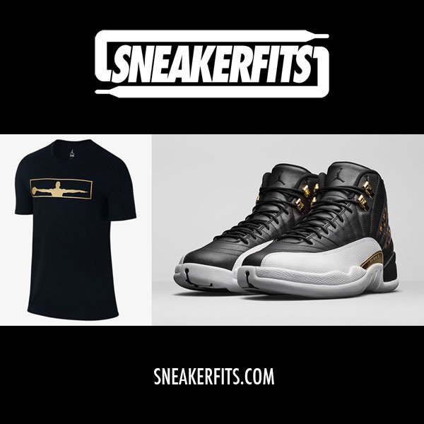 jordan 12 wings t shirt