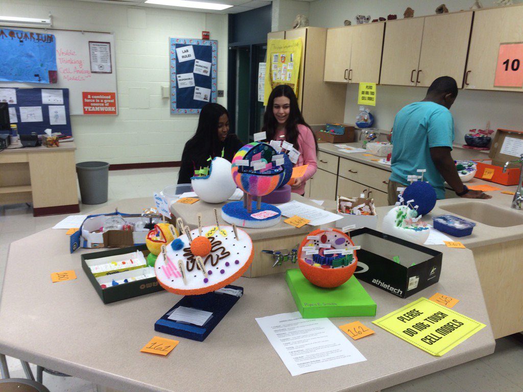 Mrs. Rose's seventh grade science students show each other their animal and plant cell models. #wearelamphere