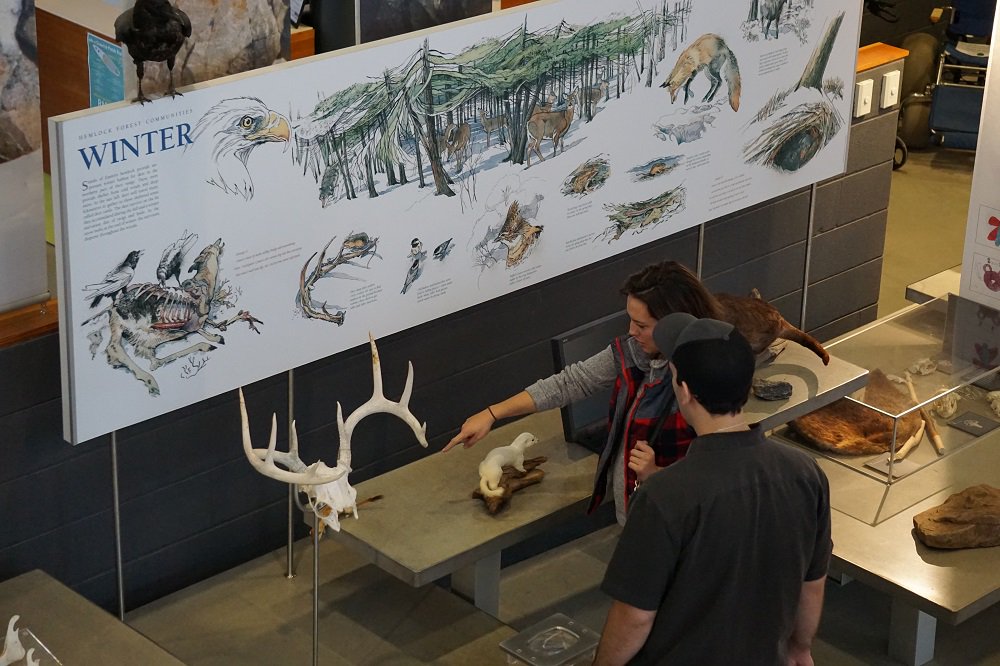 #MuseumWeek <a href="/KillbearPP/">KillbearPP</a>: visitor centre exhibits tell the story of Killbear + #GeorgianBay <a href="/OntarioParks/">Ontario Parks</a> <a href="/MuseumWeek/">ᴍᴜsᴇᴜᴍᴡᴇᴇᴋ 🏛</a>