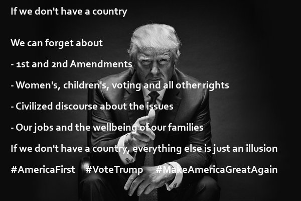 AmericanoVero's tweet image. @trackerem #AmericFirst #VoteTrump