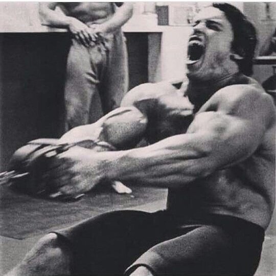 swoleses's tweet photo. A true monster https://t.co/KbBKjnLjrt