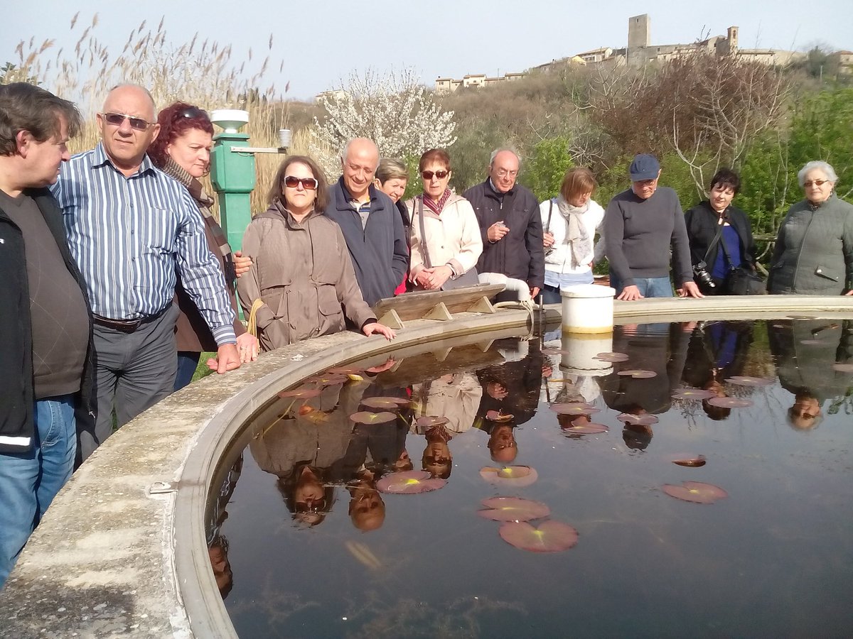 Oasi la Valle tweet media