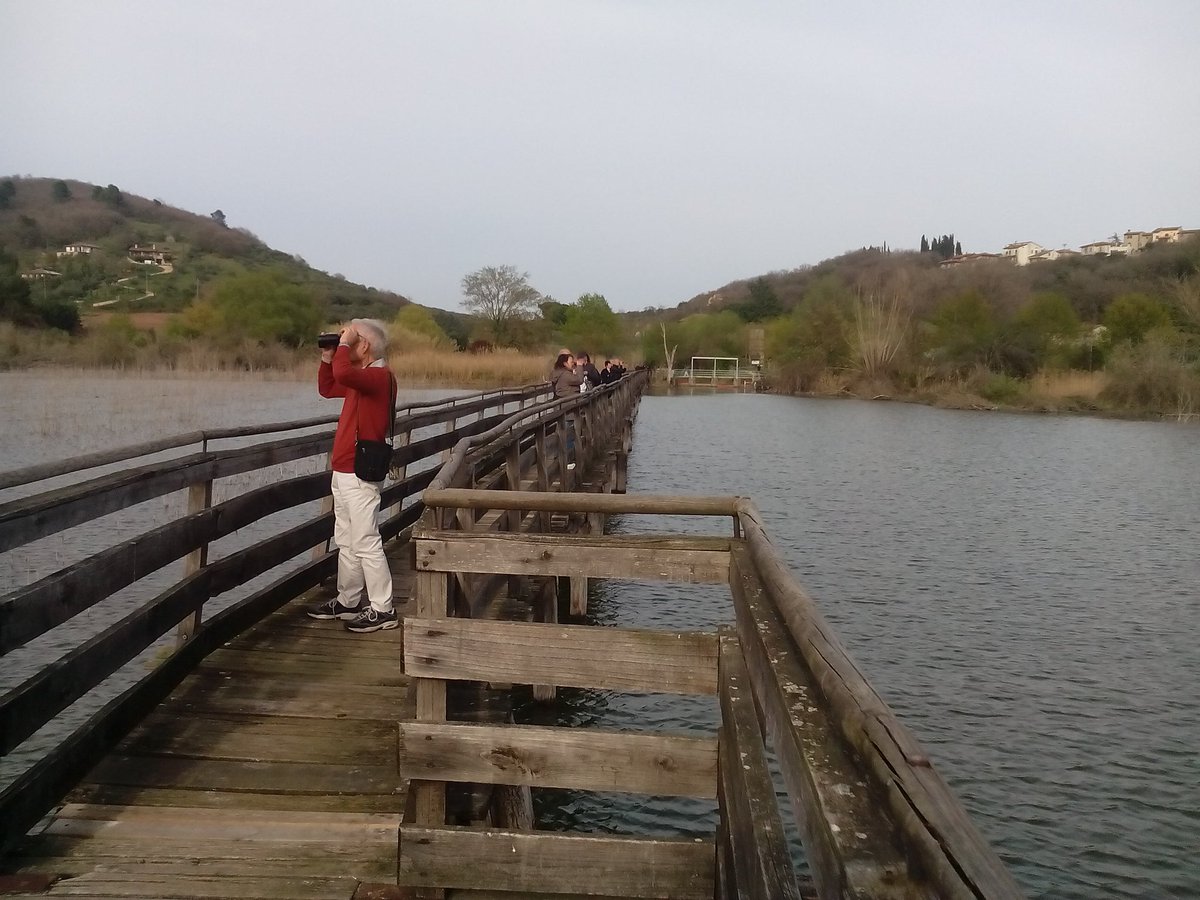 Oasi la Valle tweet media