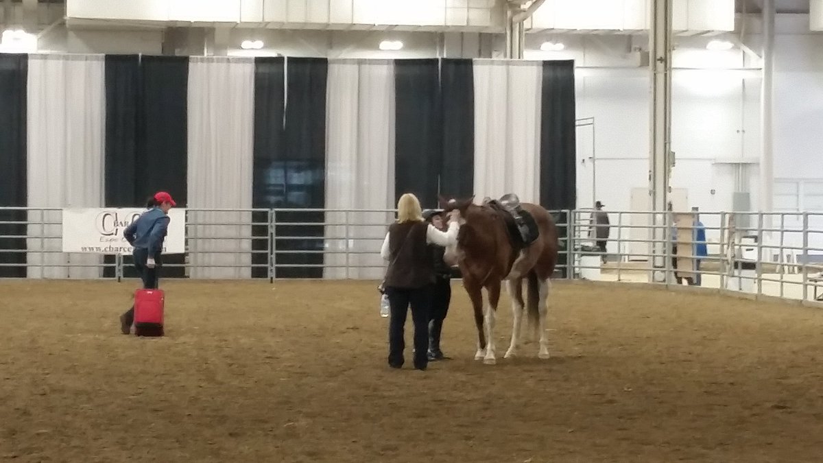 TheRemedyRanch's tweet photo. #HoosierHorseFair https://t.co/jQ2d6B0Zq5