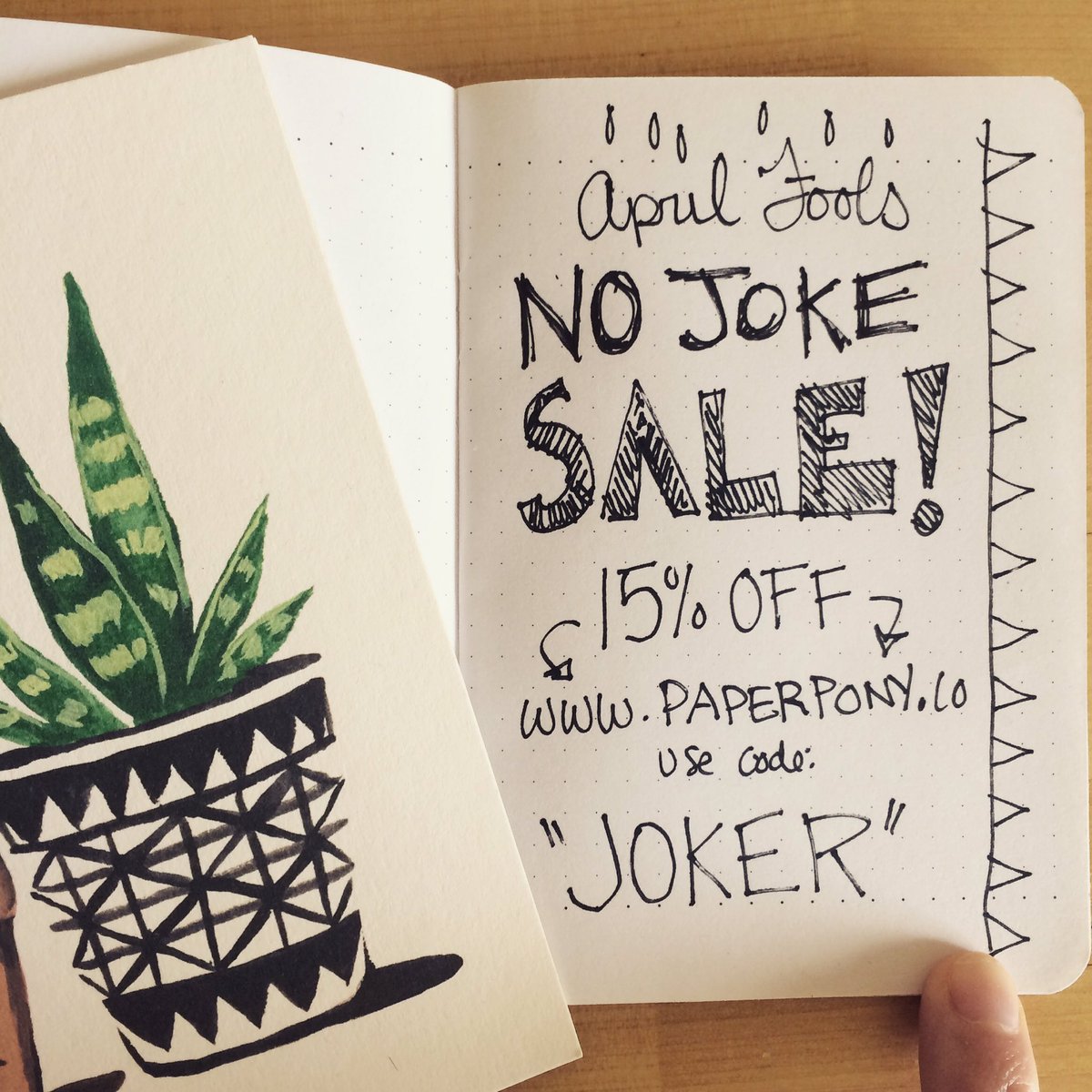 TaliaGavish's tweet photo. This coupon code is no joke. #SpringSale #greetingcards #stationery #paperpony.co https://t.co/jMJi8uOOi9