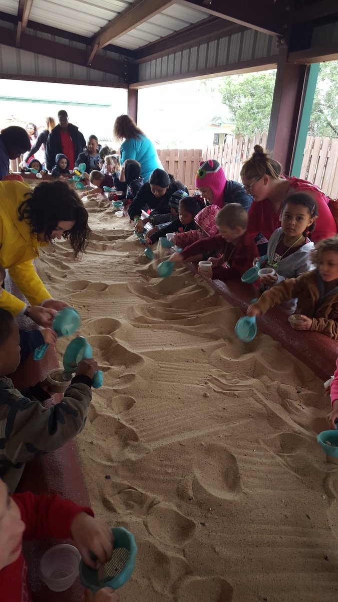 HESOneFamily's tweet image. PreK is having fun #diggingforfossils. #fieldtrip