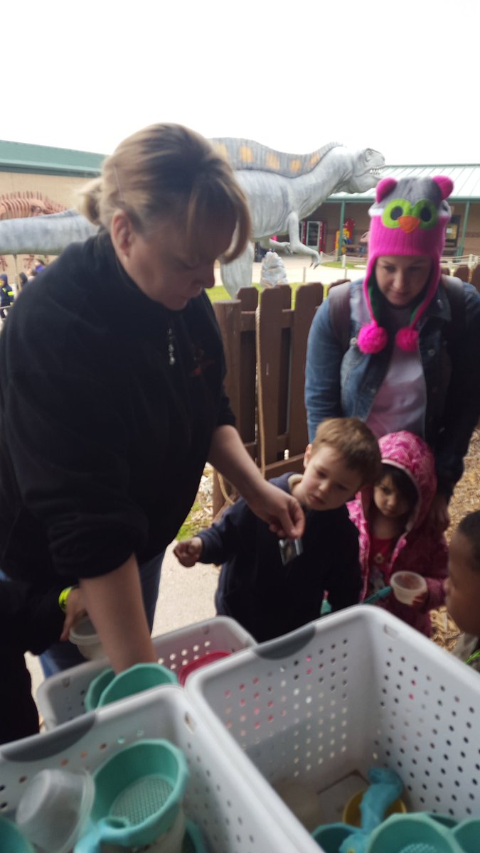 HESOneFamily's tweet image. PreK is having fun #diggingforfossils. #fieldtrip
