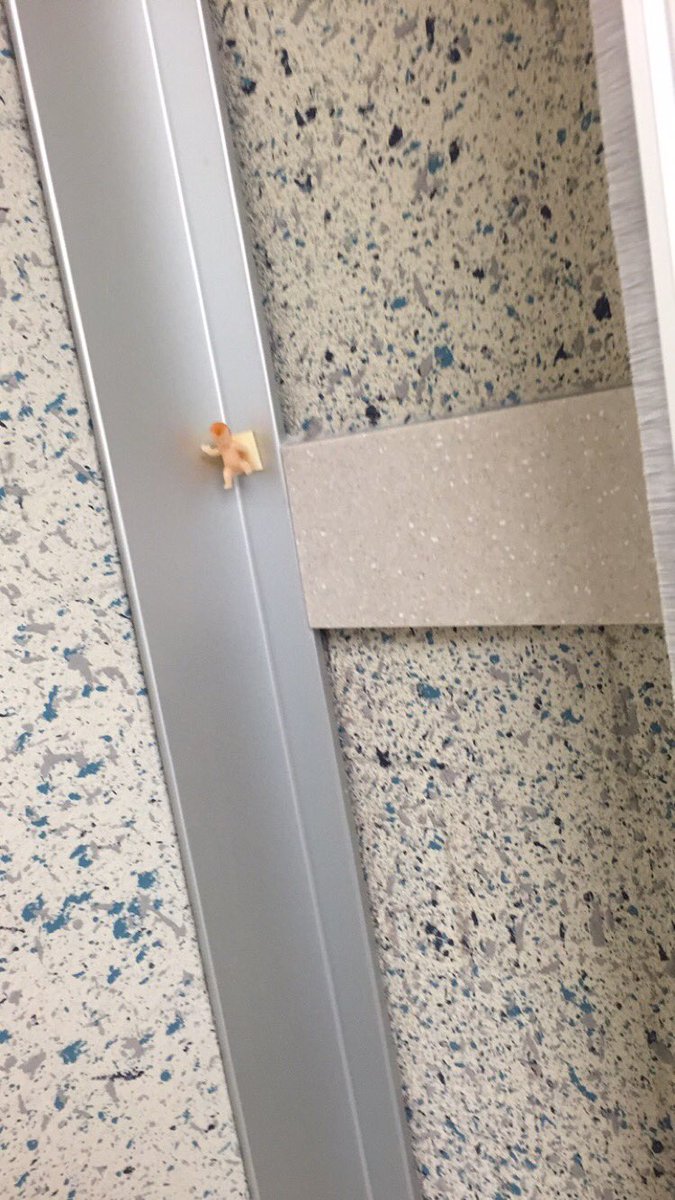 ally__Henderson's tweet photo. Who's taping tiny babies to the walls of MV???? https://t.co/j9LTiJGOOu