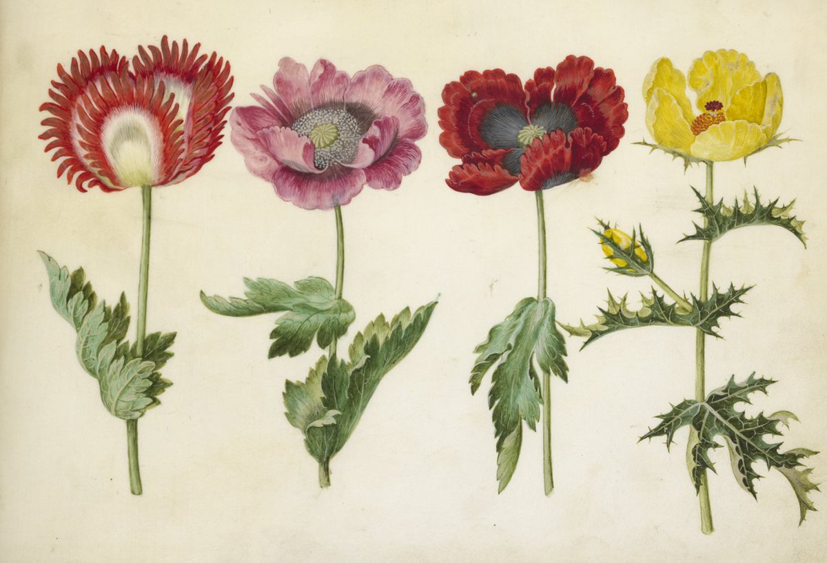 British Museum tweet media