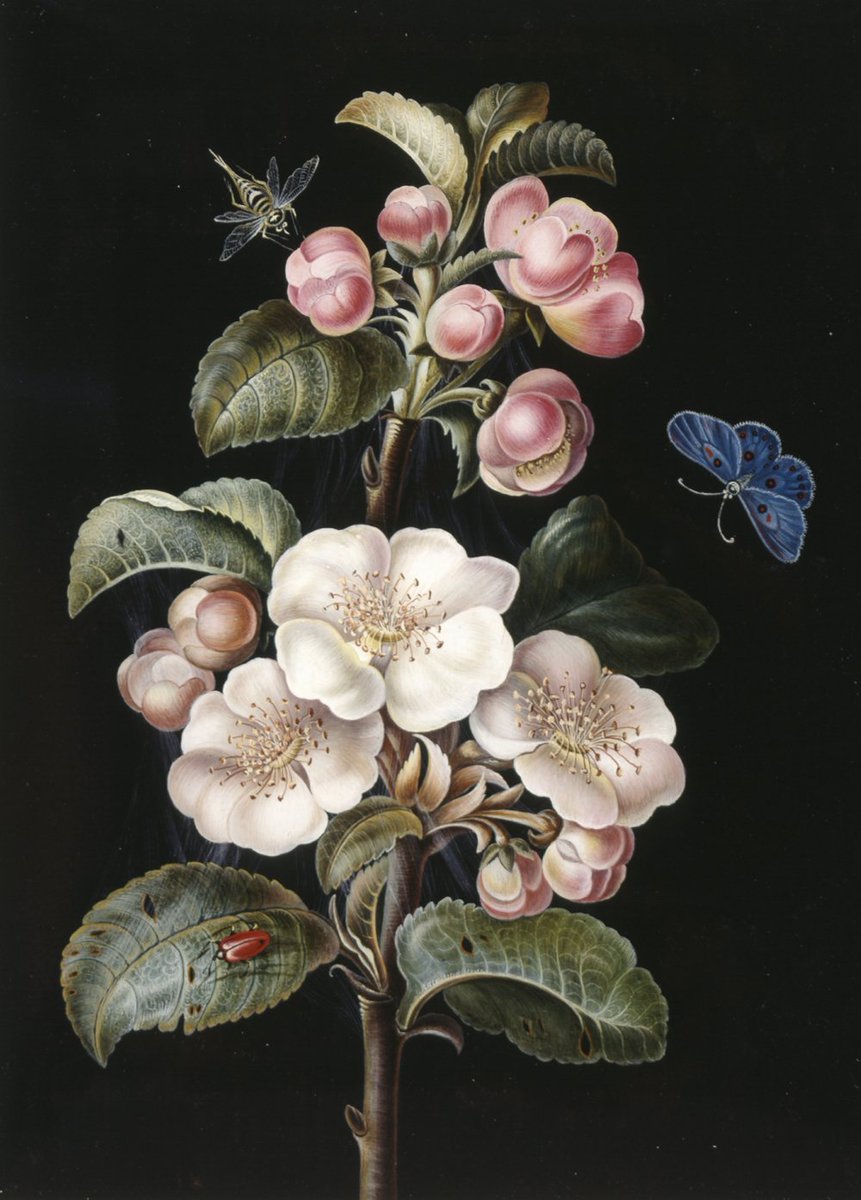 British Museum tweet media