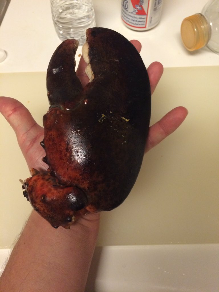 yourgettinggot's tweet image. It's just claw,  not as good as tail.  Just like in real life