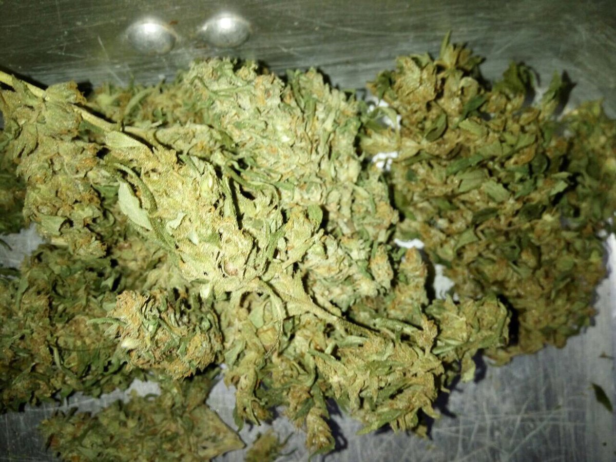 FinerMarijuana's tweet photo. My girlfriend is the most beautiful girl in the world 😍🍃🔥 https://t.co/KXeQPCcUgV