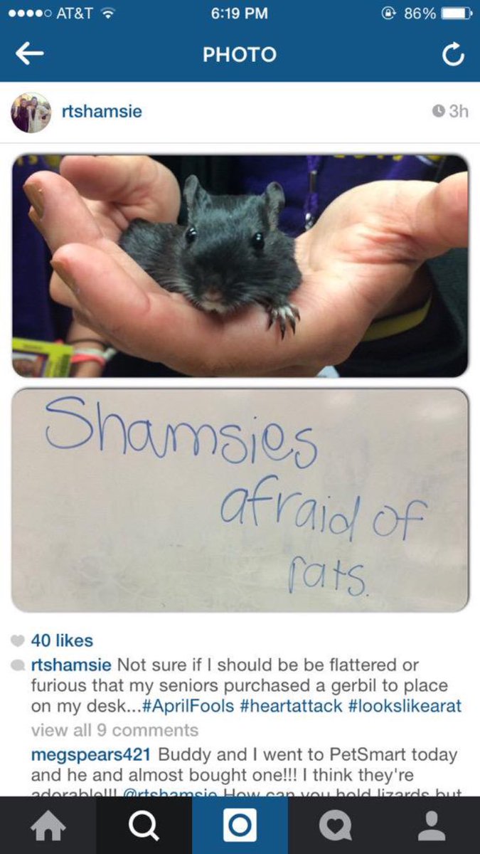 abbyjolie15's tweet photo. Remember that time I got ISI for going get a gerbil to scare the English teacher...? #AprilFools2015 @sophie_camp https://t.co/ndttDyNt7p