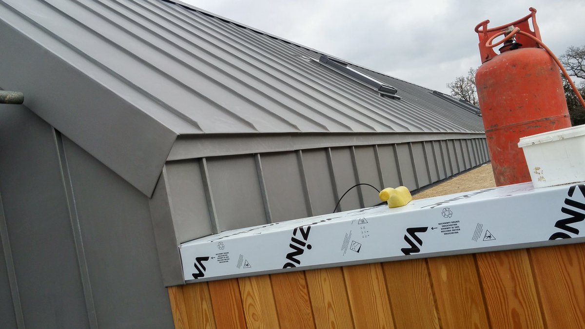 bellzinc tweet media