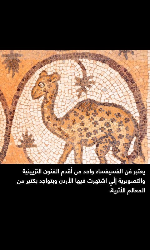 AlaaIssa96's tweet photo. I am waiting  for you're  opinion  
#jarsh jordan 
😍😍😍 https://t.co/IGGVUI4oC5