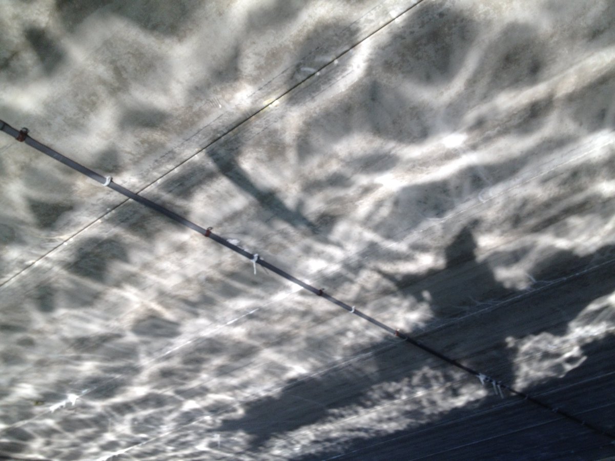 tristanbaurick's tweet photo. Self portrait from this morning's #kayakcommute. #Bremerton https://t.co/VTHD8TXiSt