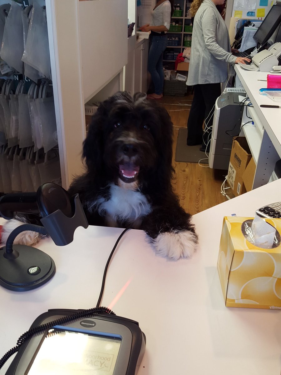 DelRayRPh's tweet photo. Employee of the month!! Congratulations Bo https://t.co/Wly6sR3jkP