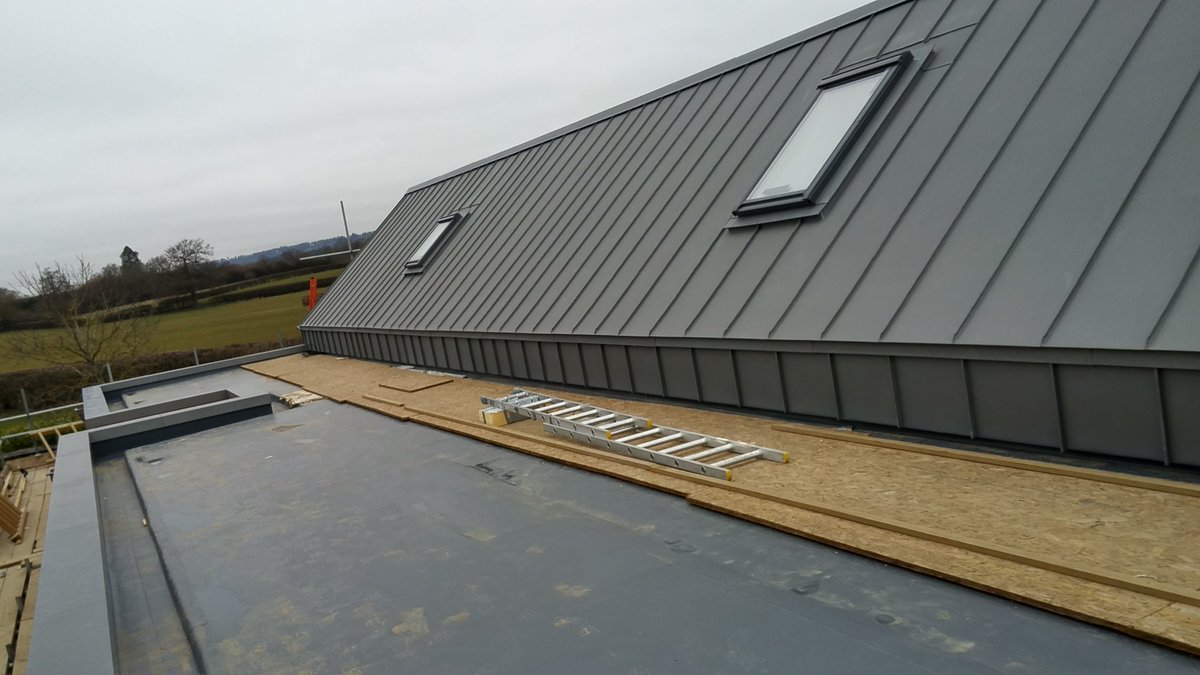 bellzinc tweet media