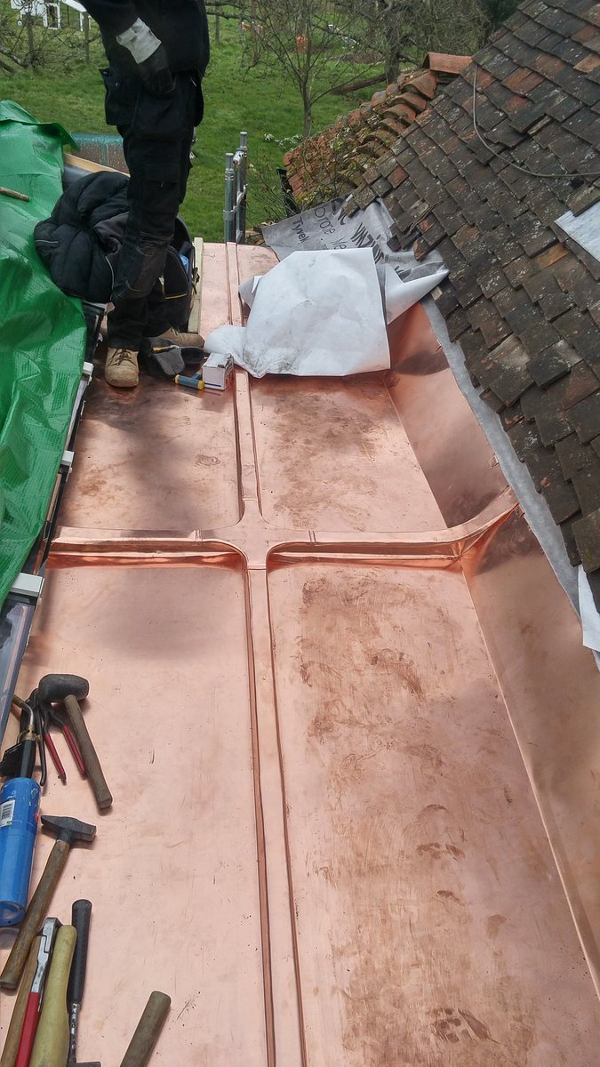 bellzinc tweet media