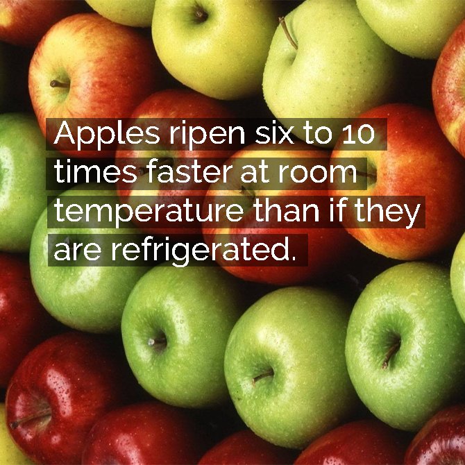 LetsLunchIn's tweet photo. #FoodFactFriday https://t.co/7aqkYSzY1t