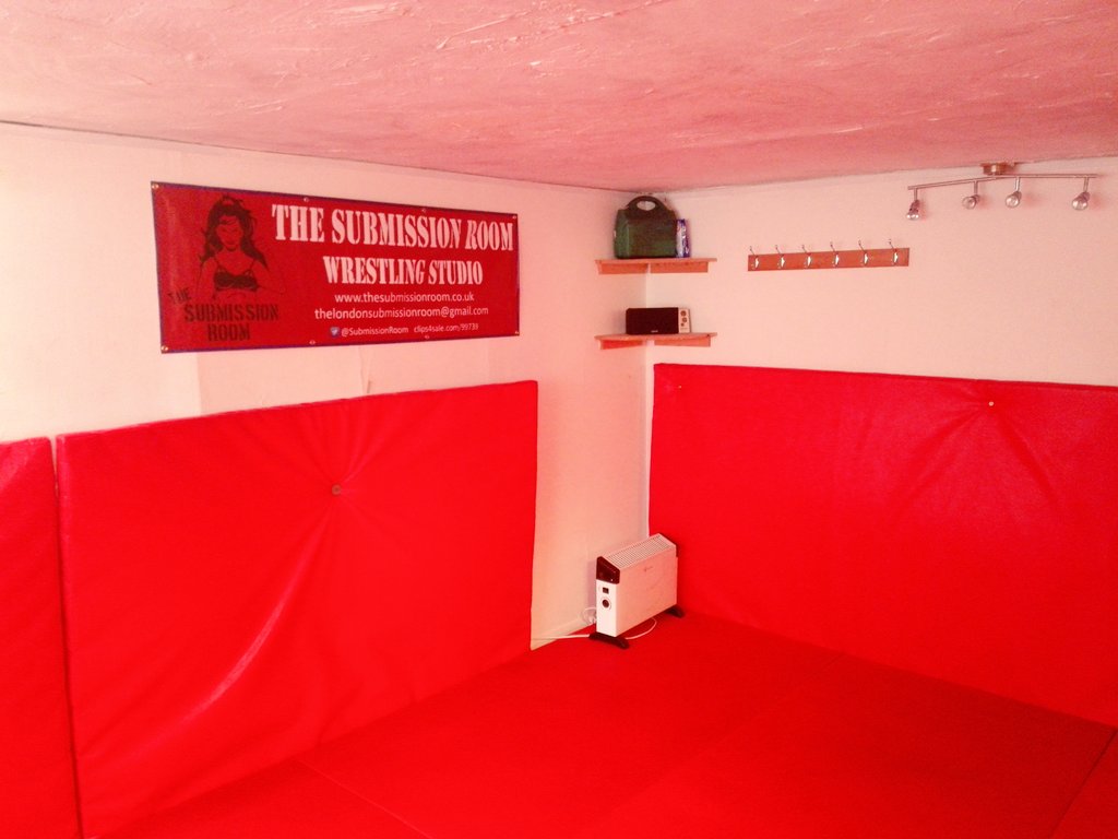 Pippa the Ripper on Twitter "The Submission Room mat room new mats, spring cleaned, looking
