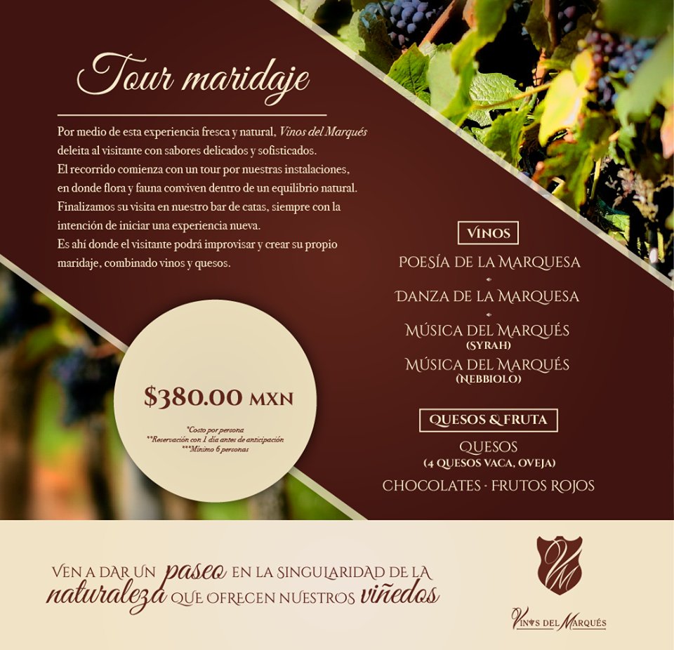 Reserva tu recottido
contacto@vinosdelmarques.com
Tel. 4424021448
Cel. 4422710760