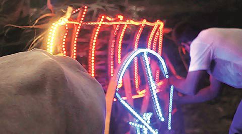 DoctorBulb's tweet photo. #LEDLights to save bulls, farmers from accidents : https://t.co/HJFtx1KcA6 https://t.co/clEhA7J7OI