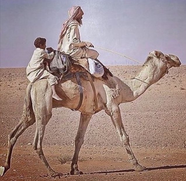 tayf_sa tweet picture