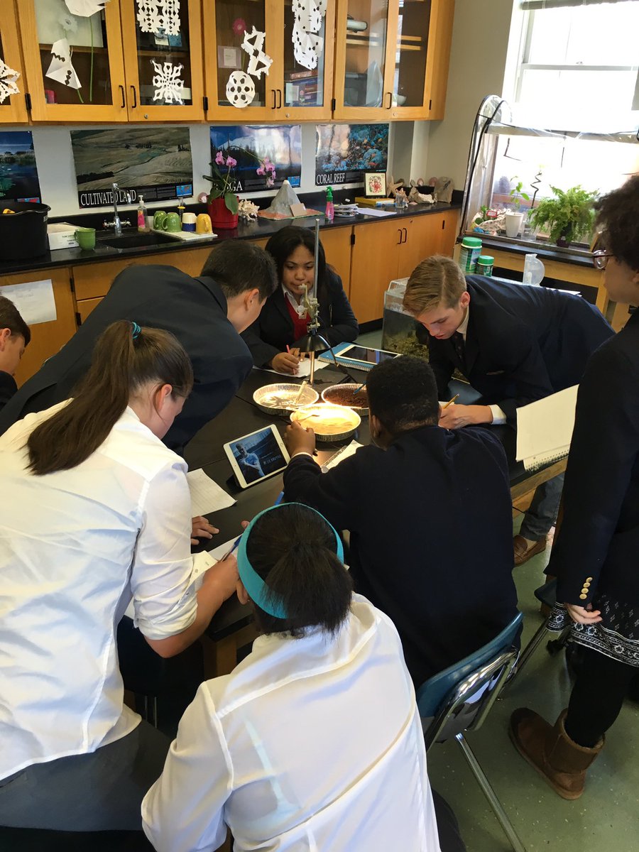 kathryn_cotter's tweet photo. 8th grade Sci studying how different materials absorb heat! 🤓 https://t.co/lt3mLxI0fU