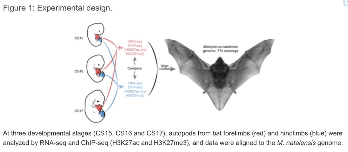 Maverix Biomics tweet media