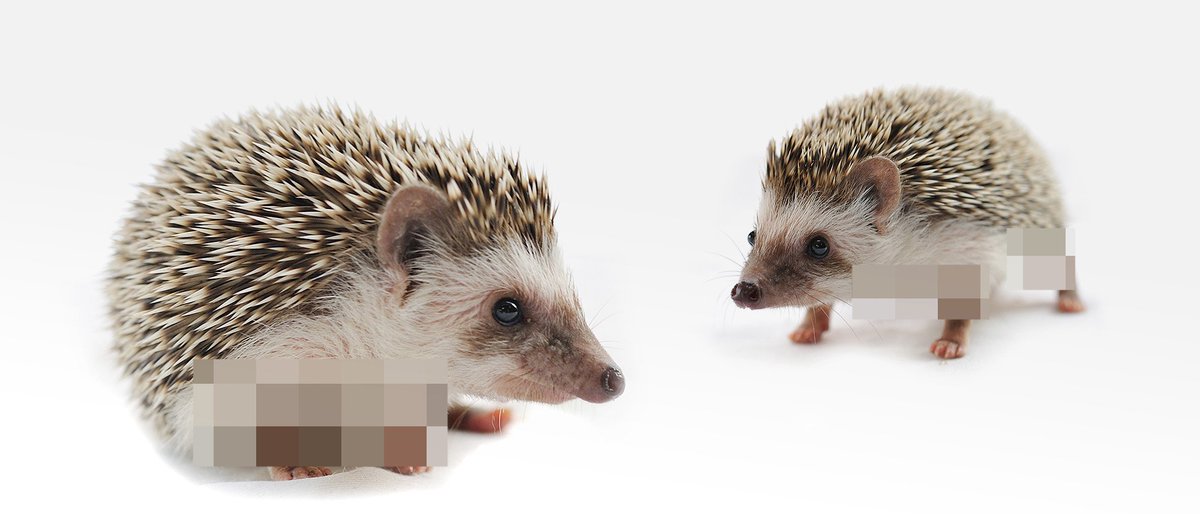 Top 5 picks for #aprilfools2016 medium.com/fine-citizens/…