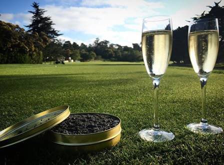 eatSTK's tweet photo. We foresee a lot of prosecco in our near future... Catch us this weekend at #PBFW! #STKOUT https://t.co/hJuBNTeS7r
