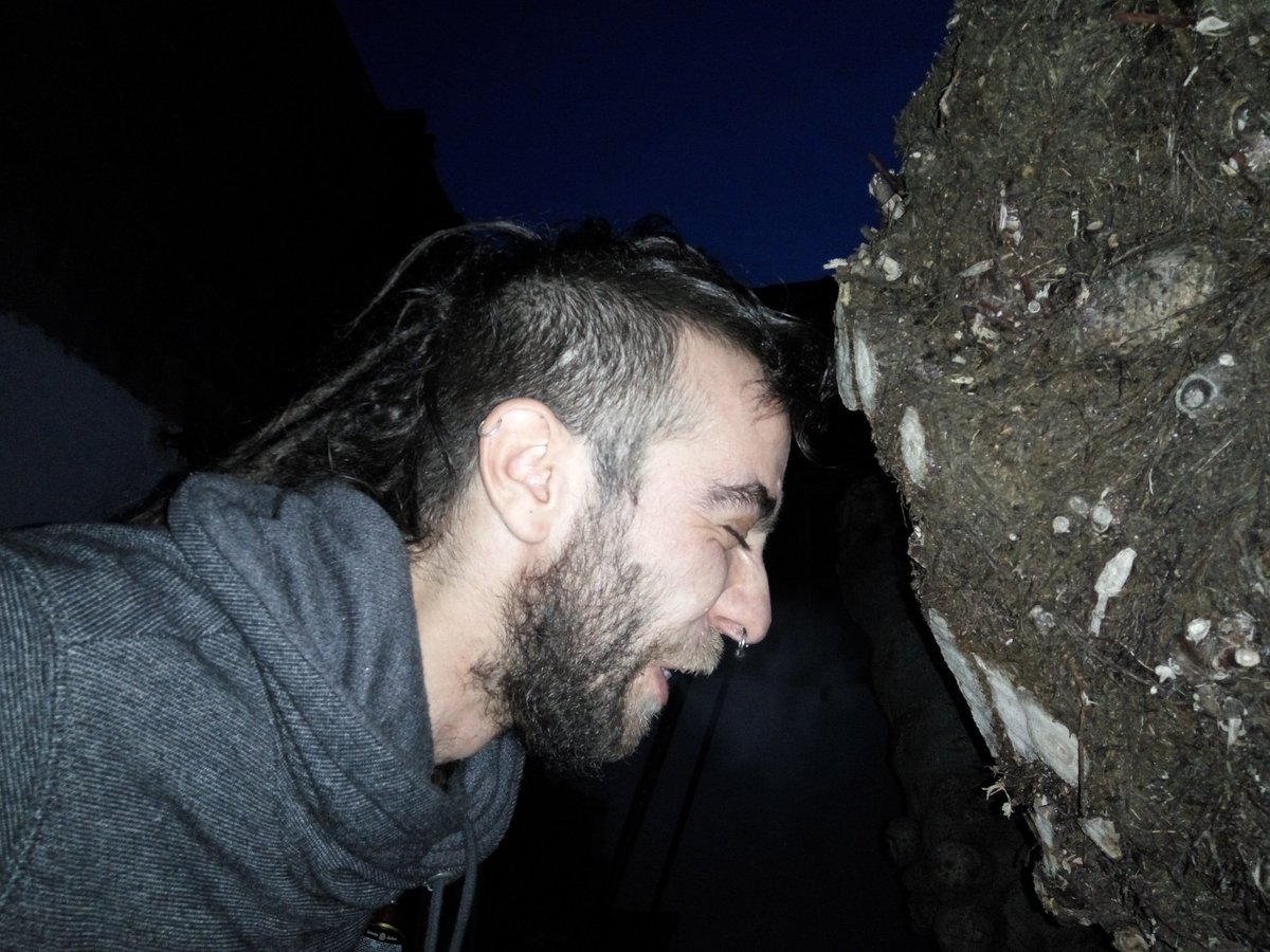 AversionFest's tweet image. Hoxe é o cumpleanos do Demo kabron!! Parabéns :D (e grazas por gastar parte do día carretando)

Say happy birthday!!