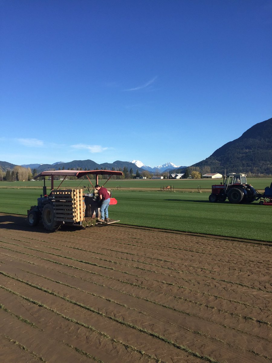 AndersonSodFarm's tweet photo. Busy day harvesting https://t.co/9Z8Fk16gGX