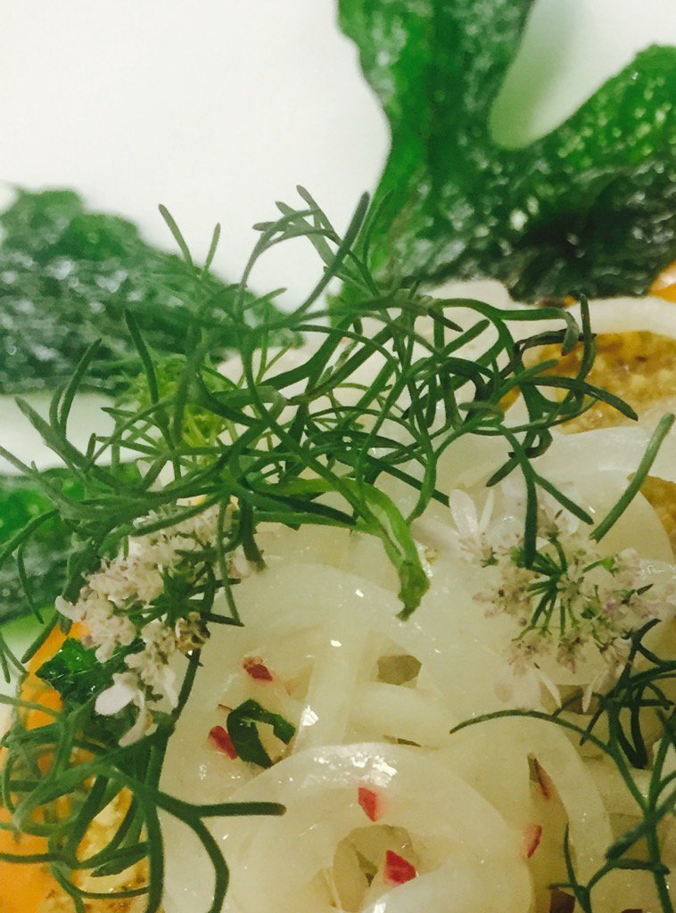 Muy pronto en Dulce Patria  : las joyas bajo la tierra " <a href="/Gourmet_MX/">Gourmet MX</a> <a href="/GabrielaRuizL/">Gabriela Ruiz Lugo</a> <a href="/OCV_Tabasco/">OCV Tabasco</a>